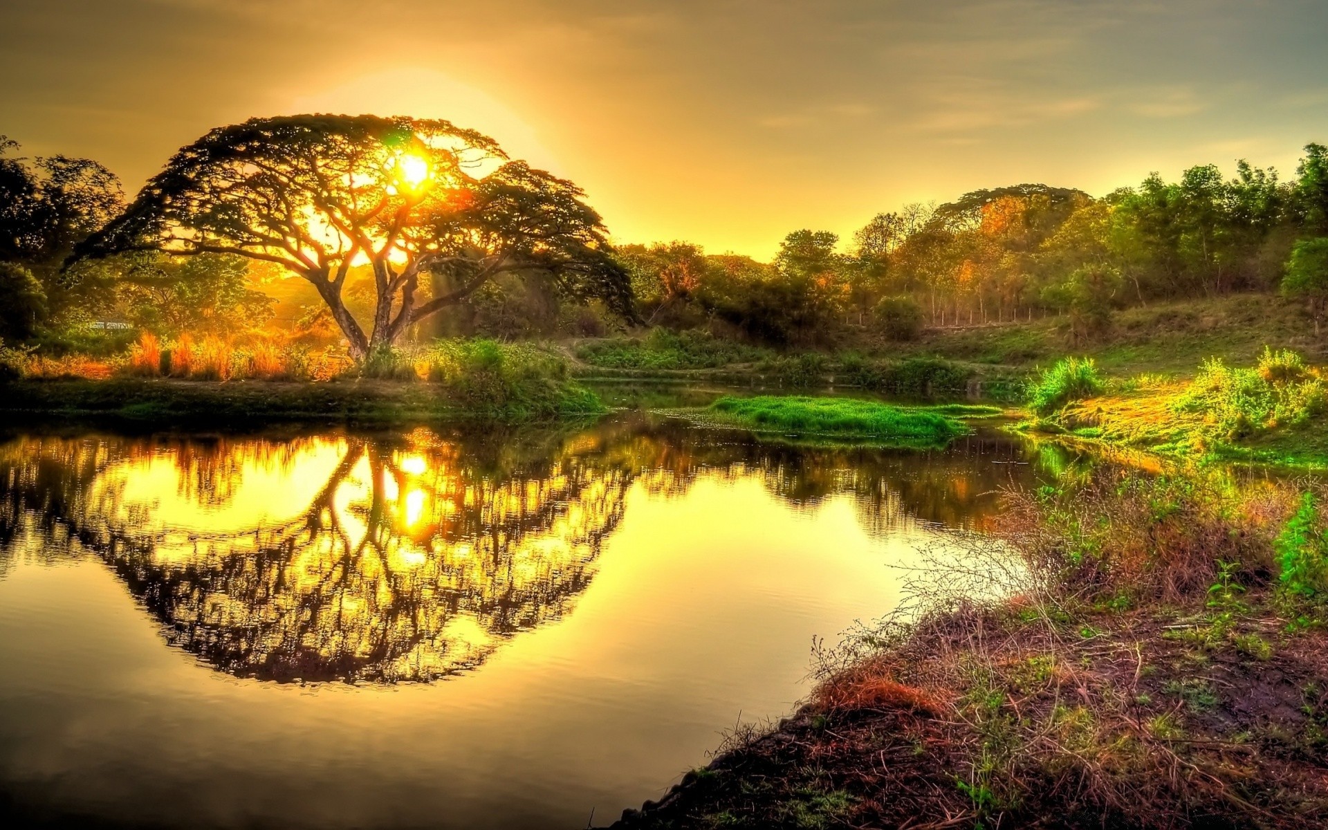 vintage reflexión puesta de sol agua naturaleza amanecer paisaje lago cielo sol río árbol noche anochecer hermoso viajes al aire libre buen tiempo madera luz