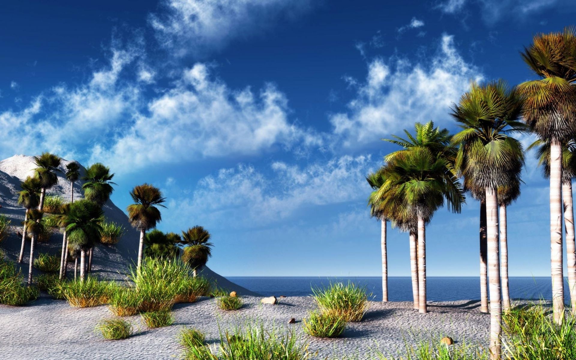 mare e oceano palme tropicale spiaggia isola viaggi mare albero vacanza sabbia oceano estate cielo paradiso esotico resort relax sole natura idillio