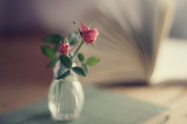 Fleur de nature morte floue dans un vase