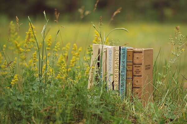 Old books outdoors