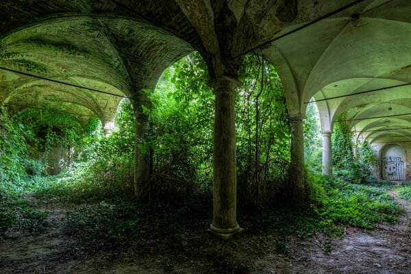 Abandoned green garden with columns