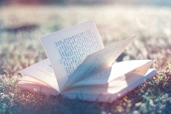 An open book on the grass. Air