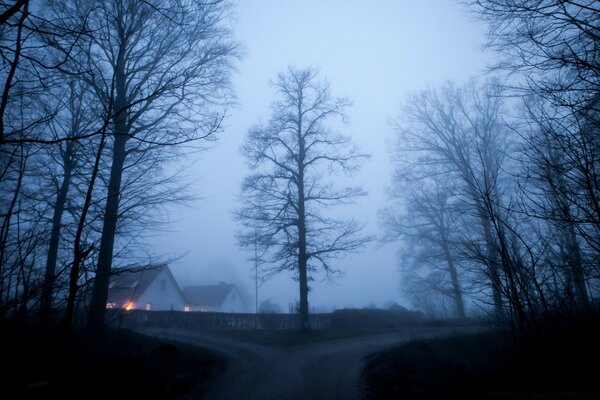 Brouillard dans le village. Maison solitaire