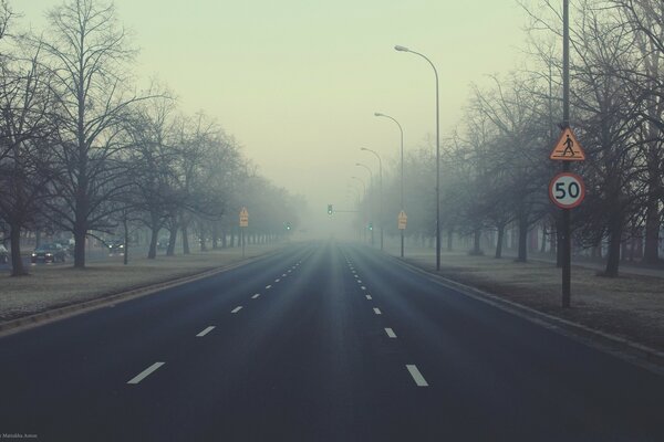 Fog in the city, green traffic light