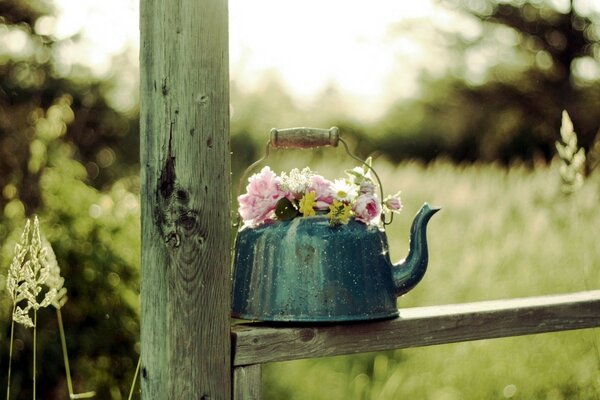 Flowers in a teapot on the fence