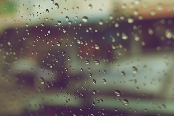 Water drops on the fogged glass