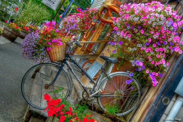 Fahrrad-Design mit lebendigen Farben