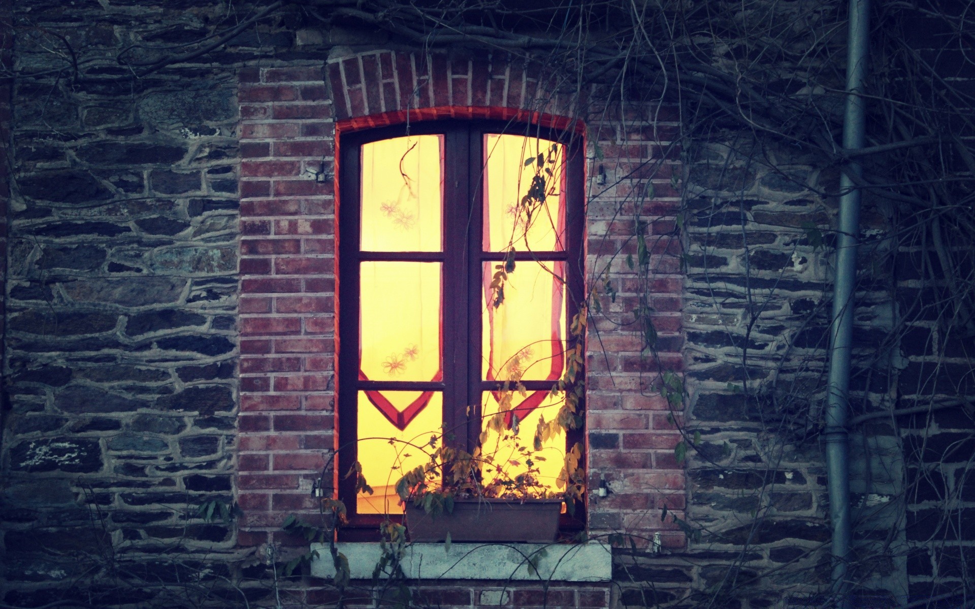 Дом старый комната окно листья скачать