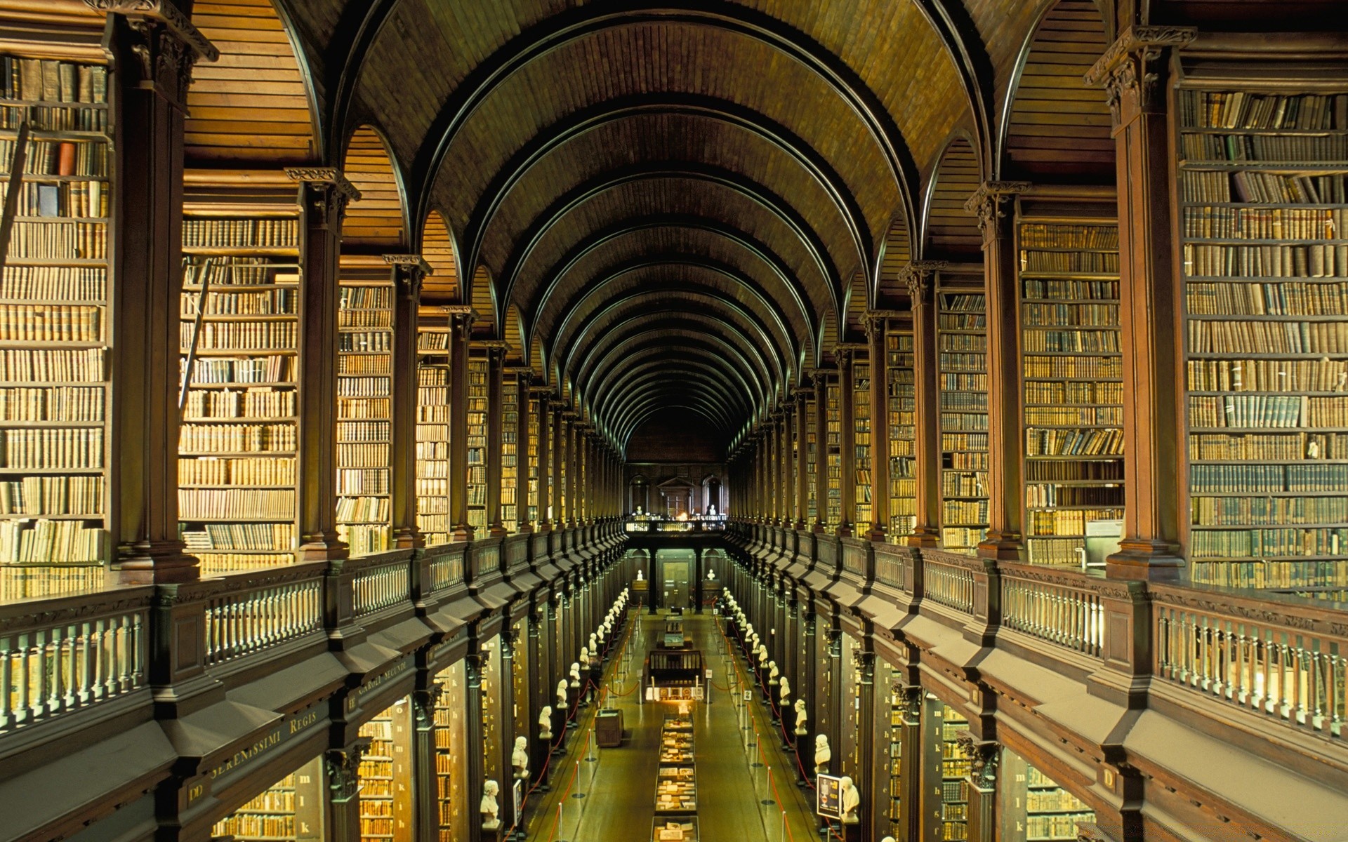 vintage indoors architecture library shelf travel stock inside building