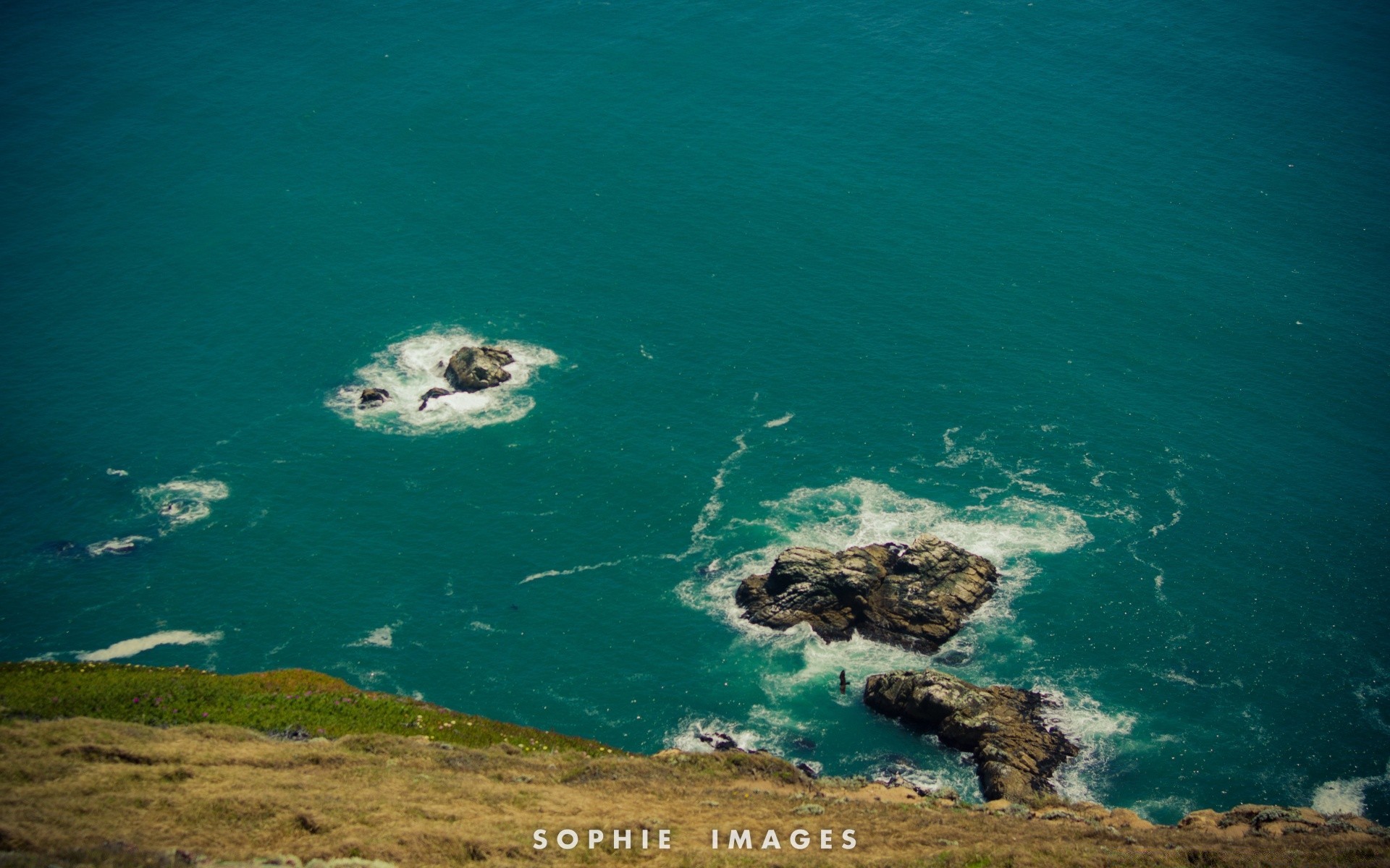 复古 水 海 自然 水下 海洋 游泳 绿松石 热带 户外 旅游 好天气 鱼