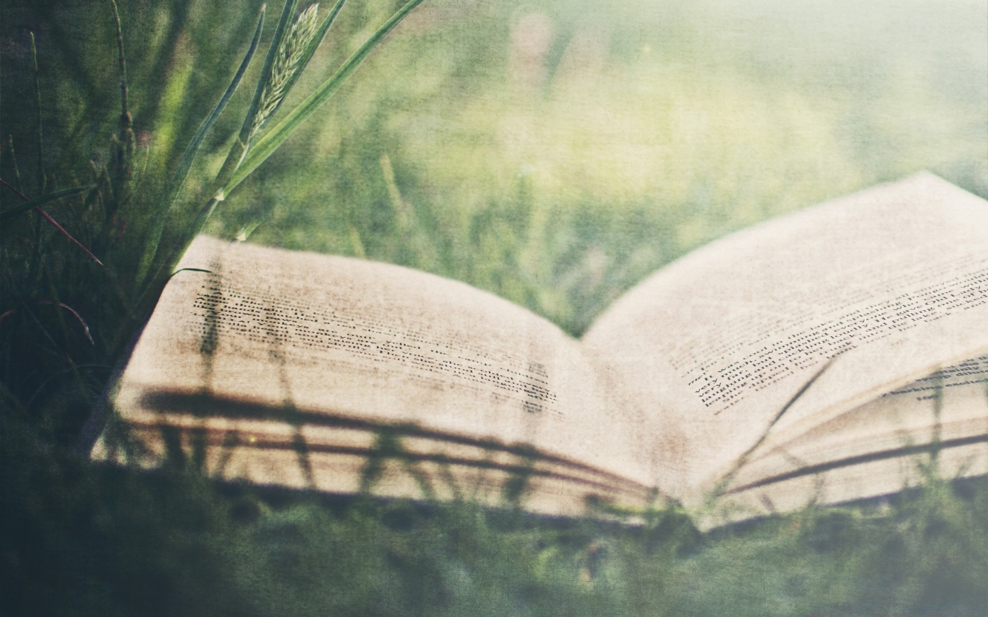 jahrgang papier natur buch seiten literatur stillleben unschärfe desktop entspannung wasser sommer