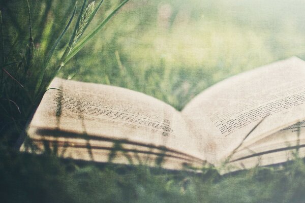 Livre ouvert sur l herbe verte