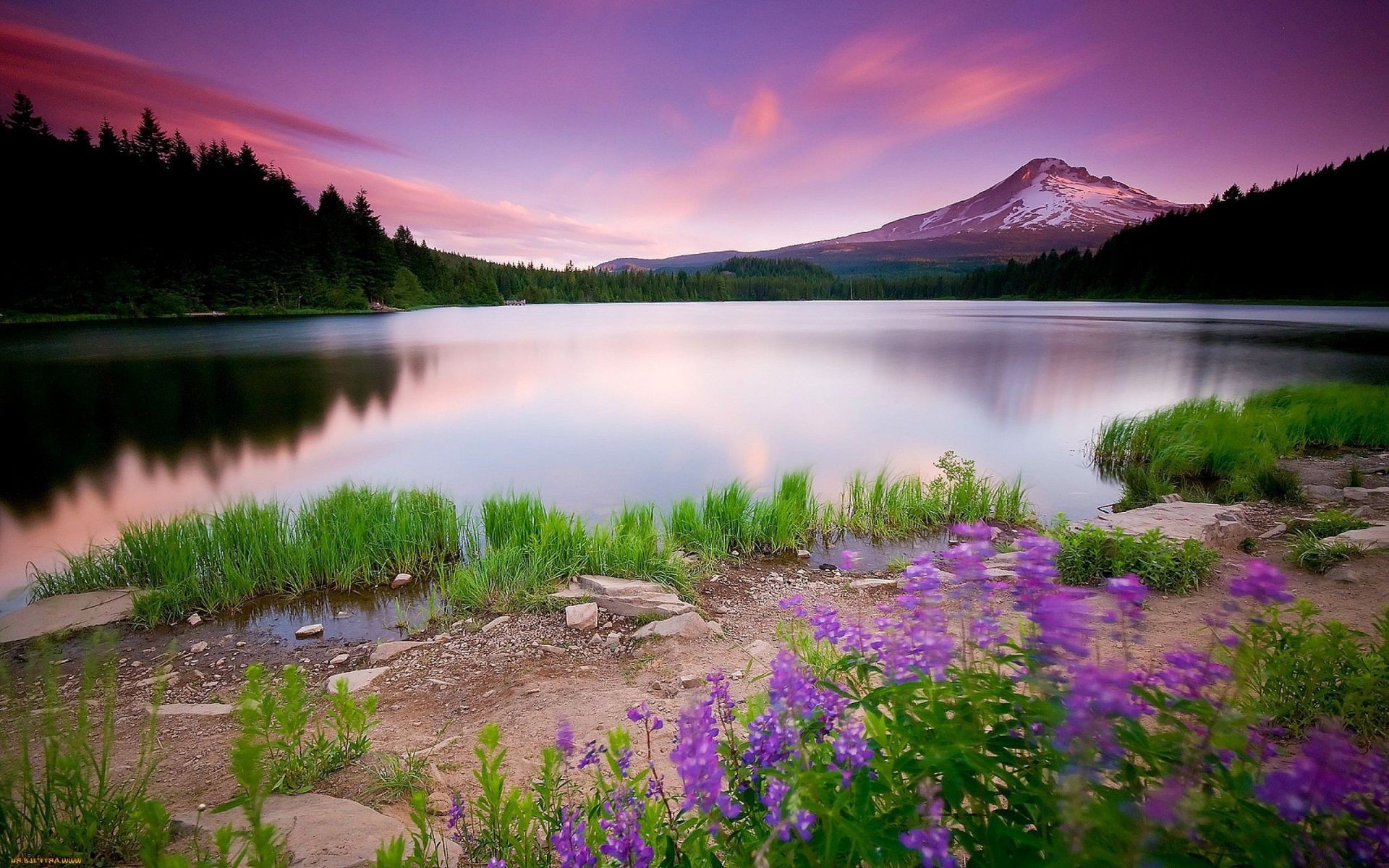 lake water nature outdoors landscape travel sky sunset dawn summer river reflection grass