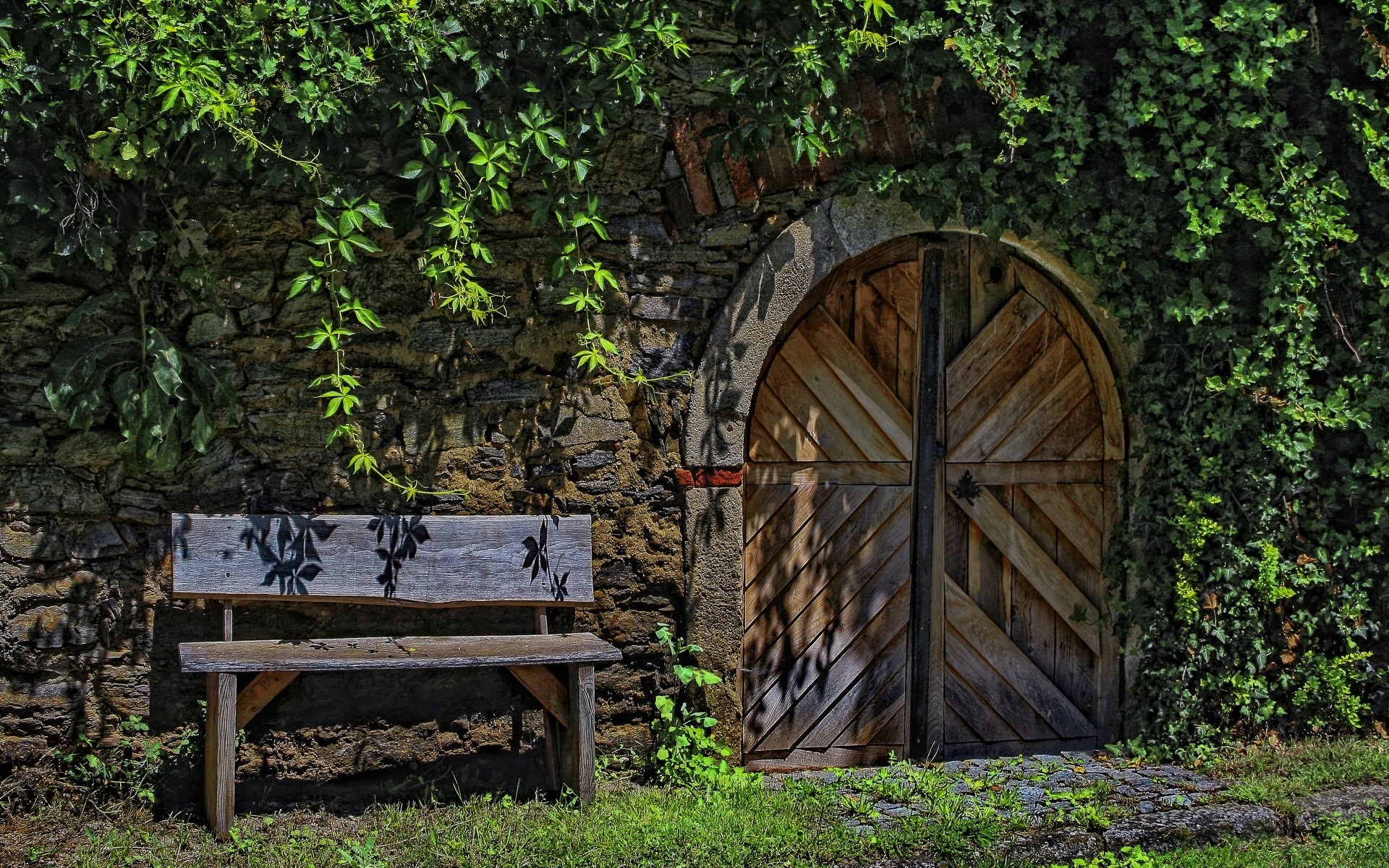 vintage drewno drewno liść na zewnątrz ogród natura stare lato ławka rustykalna flora trawa