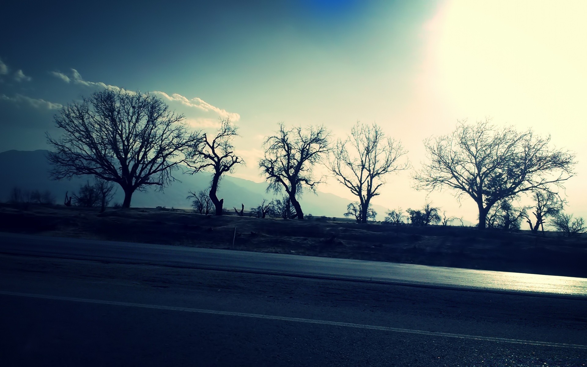 vintage tree landscape dawn road nature fog weather light fall sun park sky wood mist sunset scenic