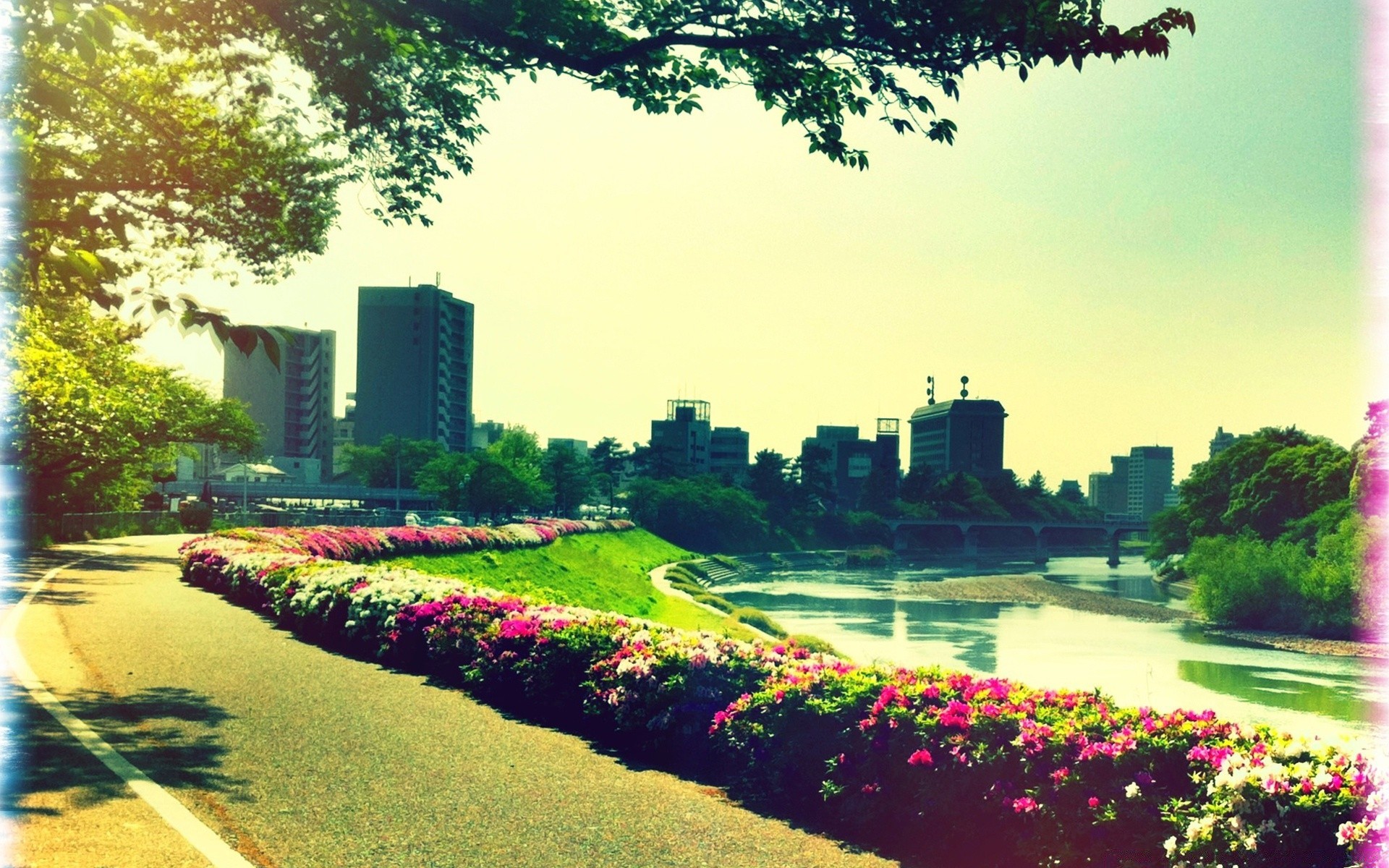 复古 树 公园 户外 花园 旅游 日光 草 建筑 房子 自然 花 城市 夏天 景观 风景 房子 草坪 水 路