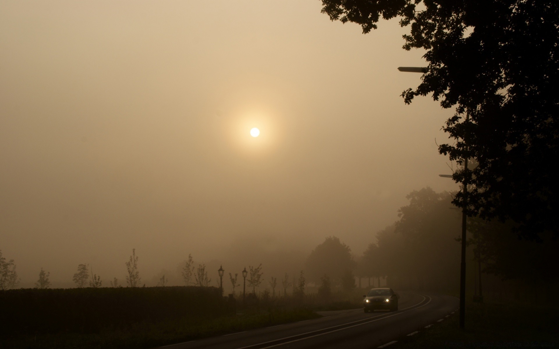 jahrgang nebel sonnenuntergang dämmerung nebel sonne silhouette landschaft licht abend baum himmel natur dämmerung hintergrundbeleuchtung im freien wetter straße reisen straße