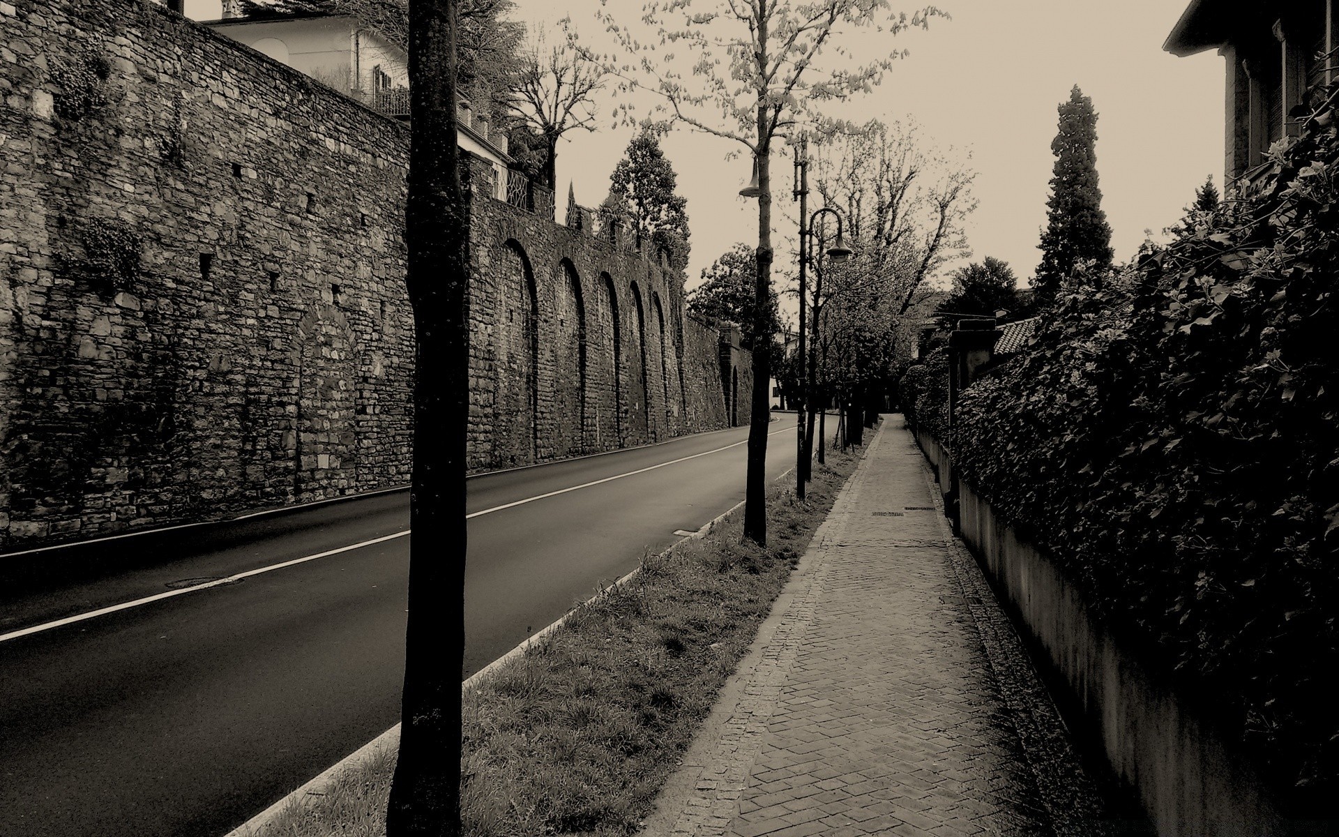 jahrgang straße monochrom straße führung schwarz / weiß reisen licht baum transportsystem