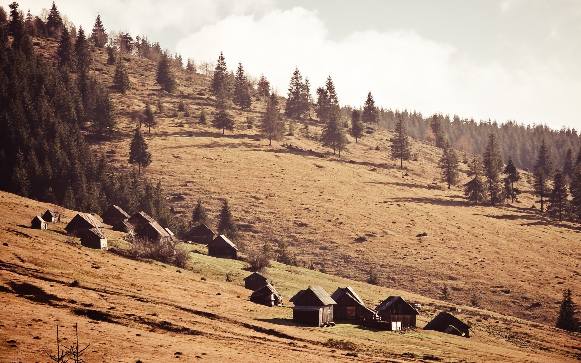 jahrgang berge landschaft baum hügel rock im freien reisen landschaftlich natur park