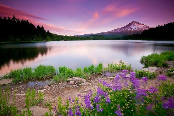 Lago de montaña en los rayos del atardecer