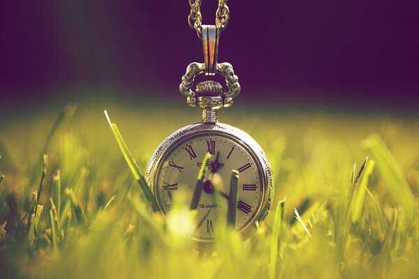 Pocket watch in meadow grass