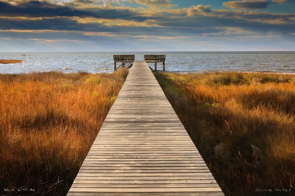 The road leading to the pier by the sea