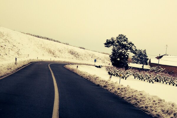 Cuando corres por un camino cubierto de nieve, recuerda que empiezas con una pizarra limpia