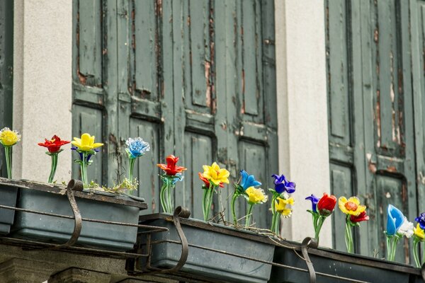 Desktop-Bild von Blumen auf dem Balkon