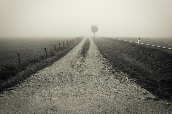 Foggy road. Vintage. Sunrise