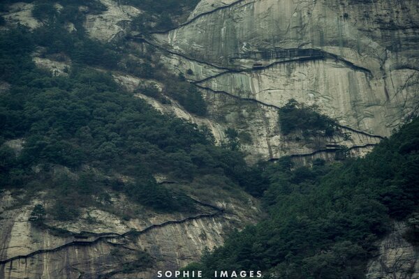 Paisaje. Roca. Agua. Árbol