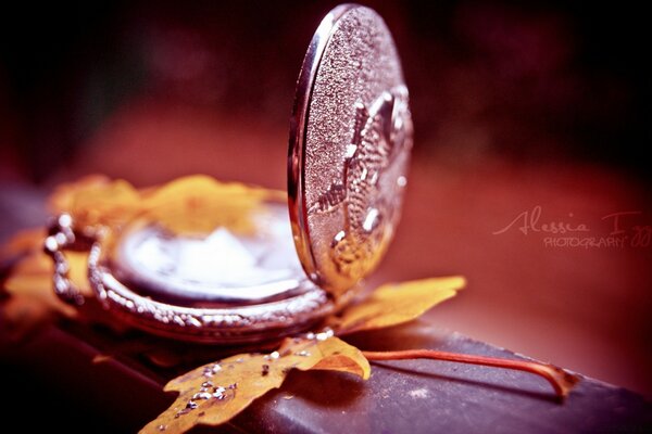 A clock on an autumn leaf