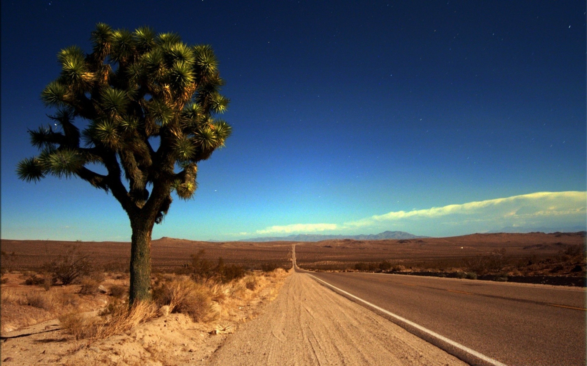 vintage deserto paesaggio cielo natura viaggi all aperto albero tramonto secco sole arid sterile alba uno