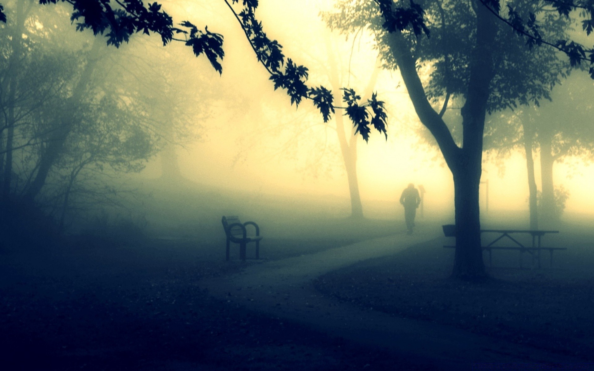 vintage amanecer árbol puesta de sol niebla iluminado sol paisaje niebla silueta noche cielo naturaleza buen tiempo anochecer sombra luz al aire libre madera tiempo