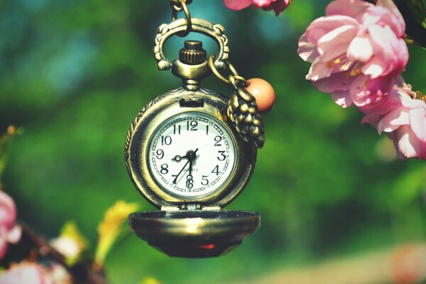 Vintage pocket watch in the spring garden