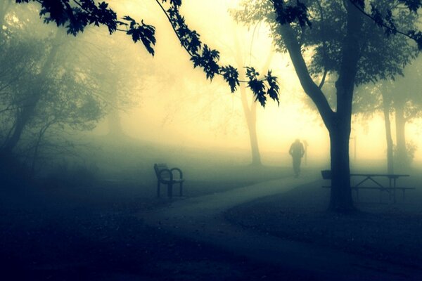 Mgła o świcie sylwetka mężczyzn Park