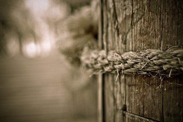 Wood with vintage rope around it