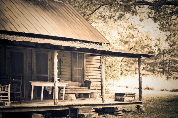 Abandoned wooden house landscape