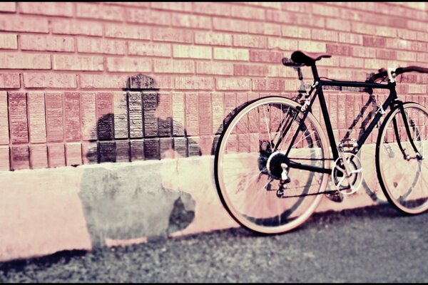 Vecchia bicicletta in piedi su sfondo muro