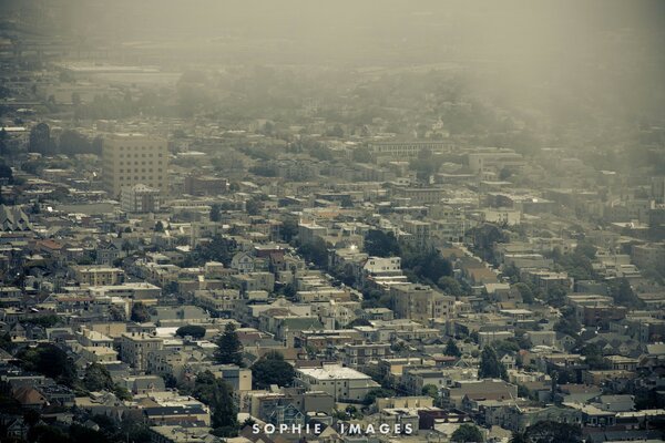 The city in the autumn fog