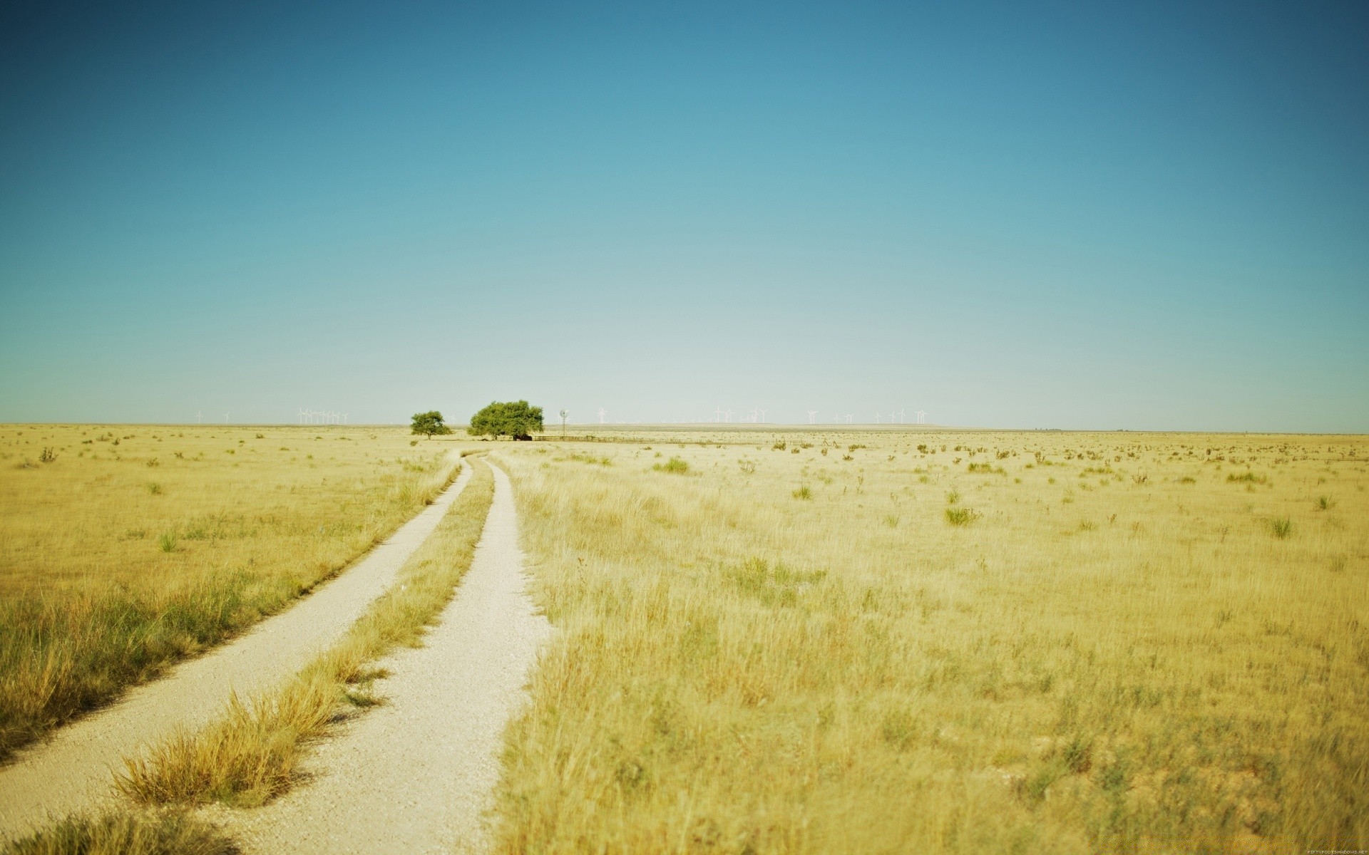 jahrgang landschaft feld himmel natur des ländlichen im freien bauernhof gras horizont bewirtschaftetes land landwirtschaft land