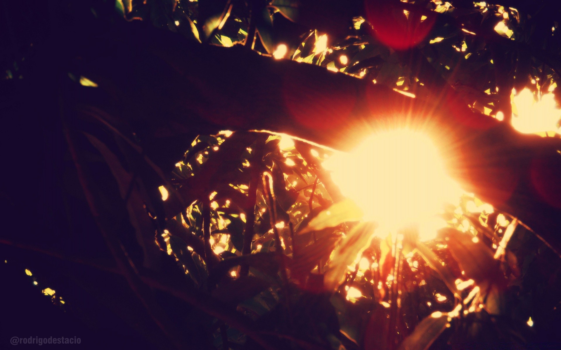 винтаж пламя фестиваль рождество праздник темный яркий свет тепло горячая участник подсветкой искра светит люминесценция фейерверк тепло