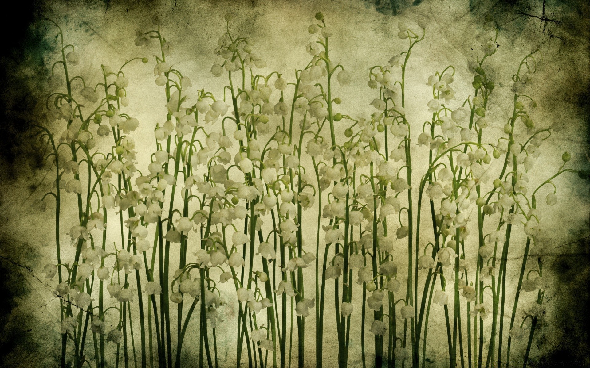 vintage retrò desktop arte fiore foglia flora natura