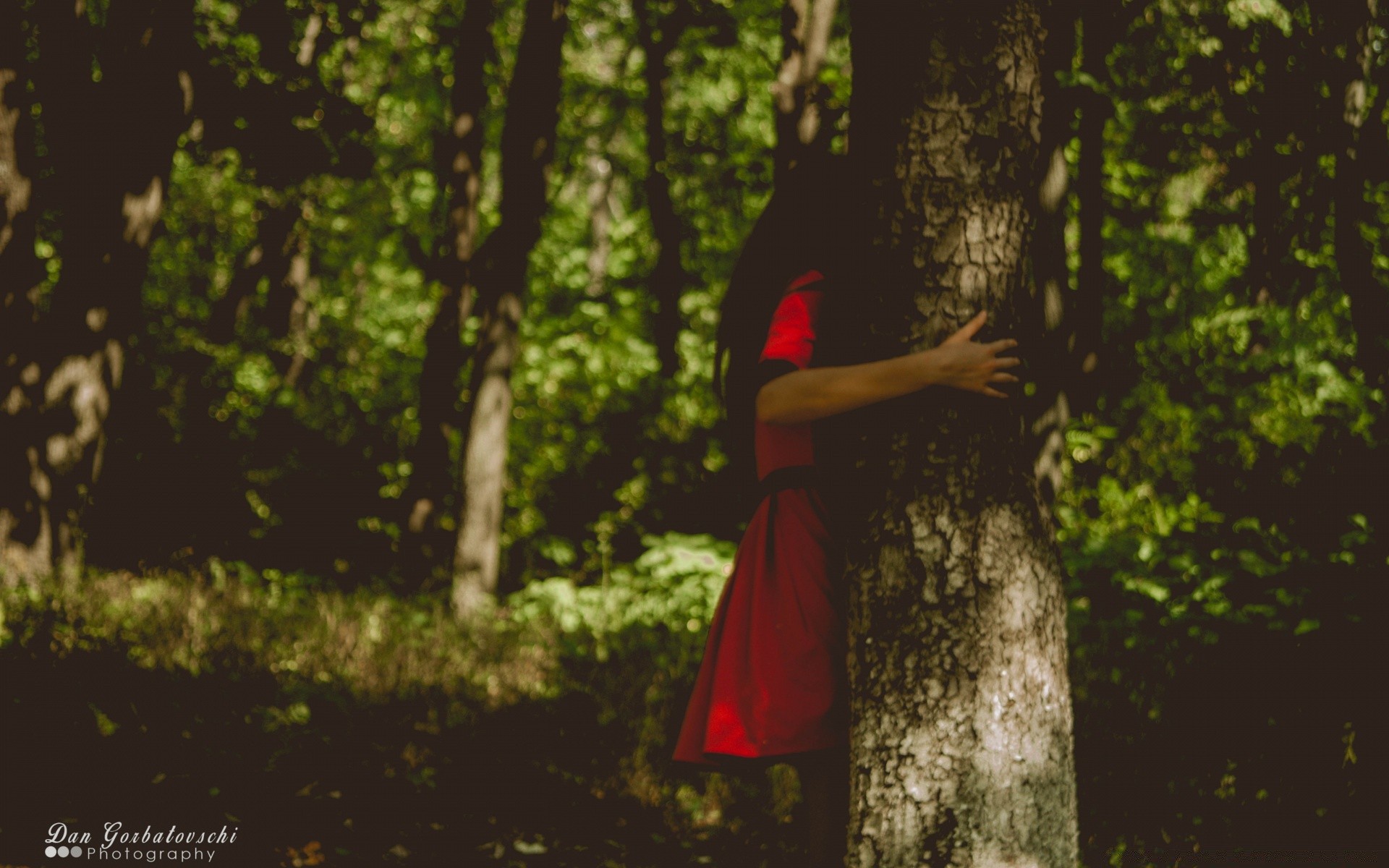 jahrgang holz im freien holz natur frau erwachsener park ein blatt kleid seitenansicht