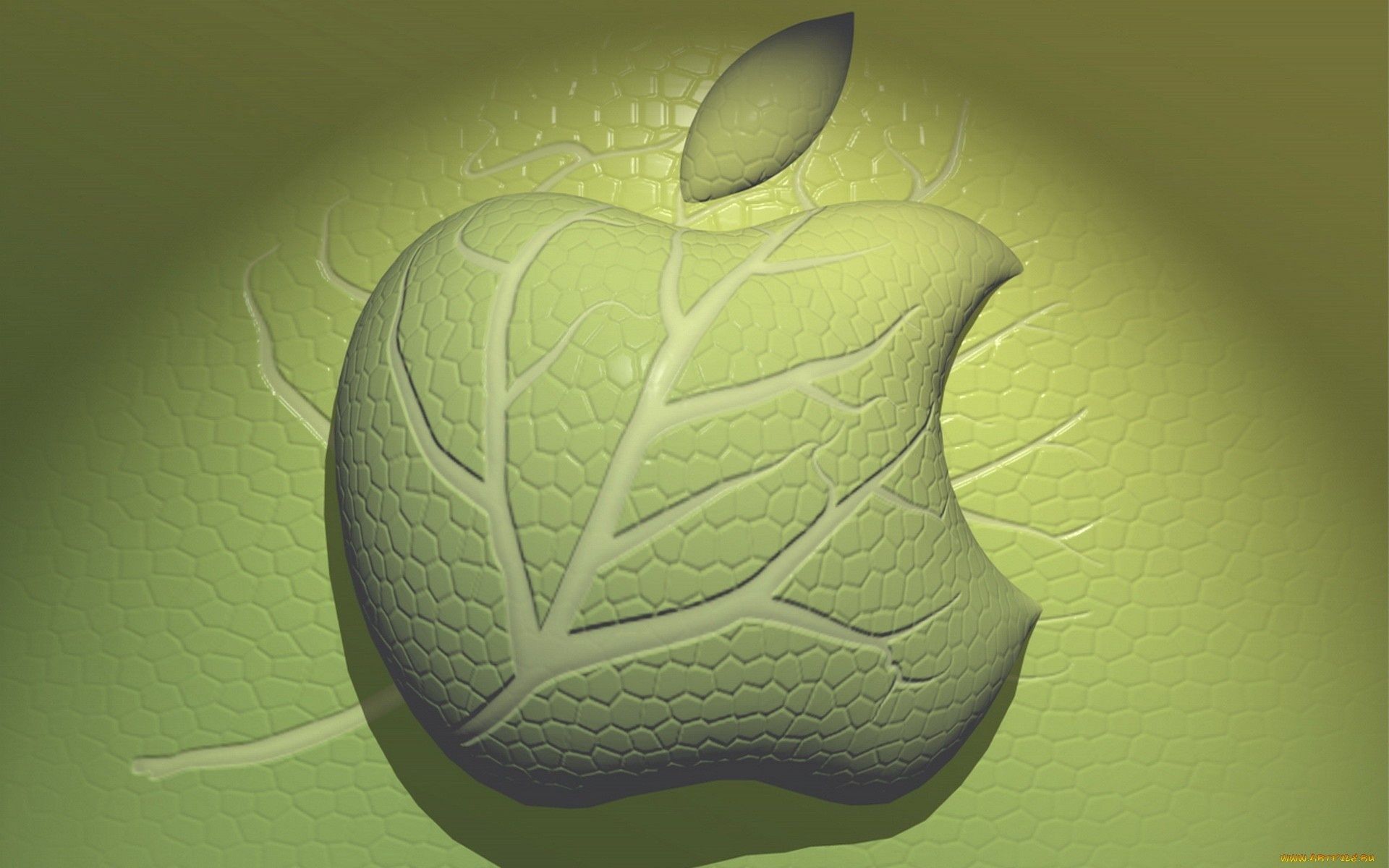 apple desktop abstract illustration color texture shape leaf design pattern