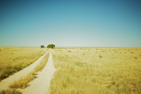 Hermoso paisaje de verano con el camino del campo