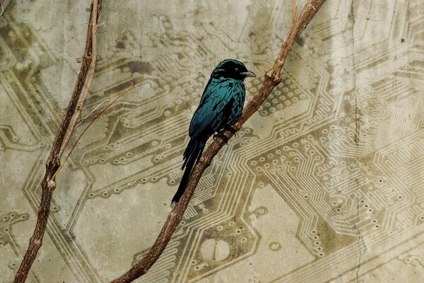 Vintage bird on a branch on the background of microchips