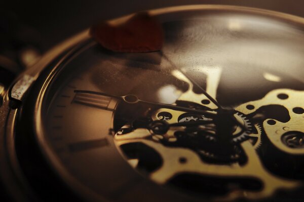 The mechanism of a wristwatch through glass