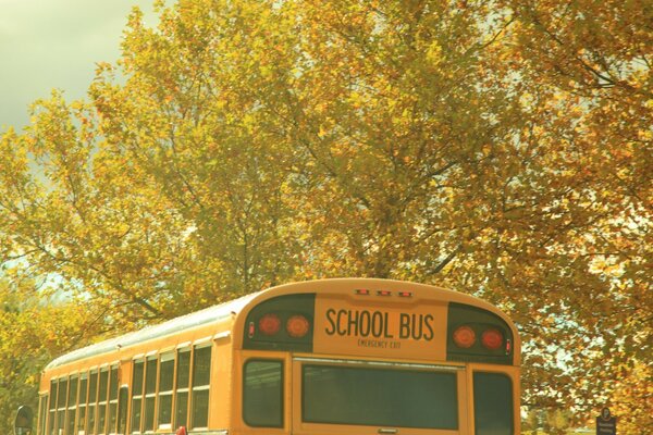 School bus autumn nature