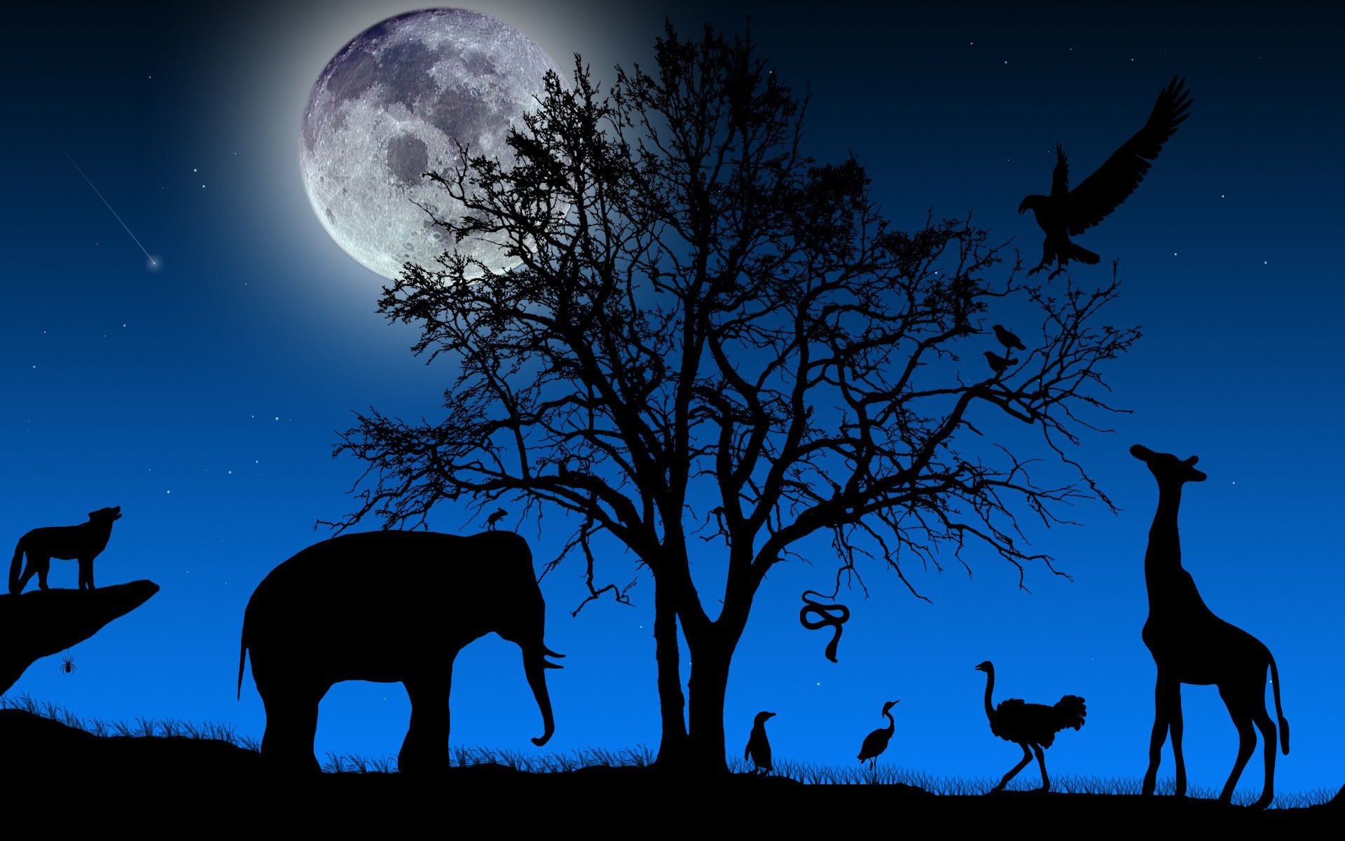 animaux silhouette lune rétro-éclairé soir ciel coucher de soleil aube mammifère crépuscule cerf arbre girafe voyage à l extérieur cerf la nature la faune soleil