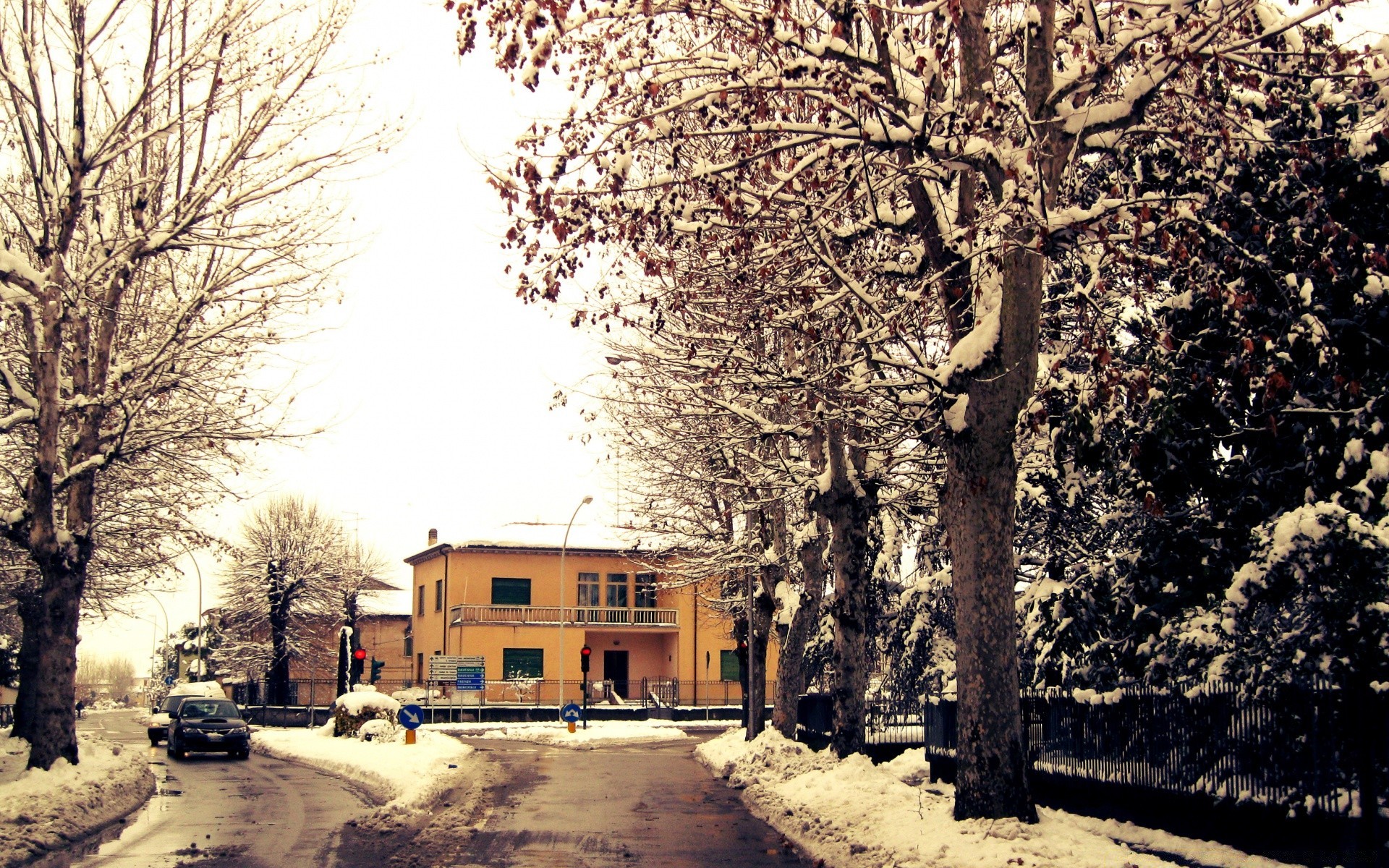 vintage tree winter snow road wood outdoors street weather